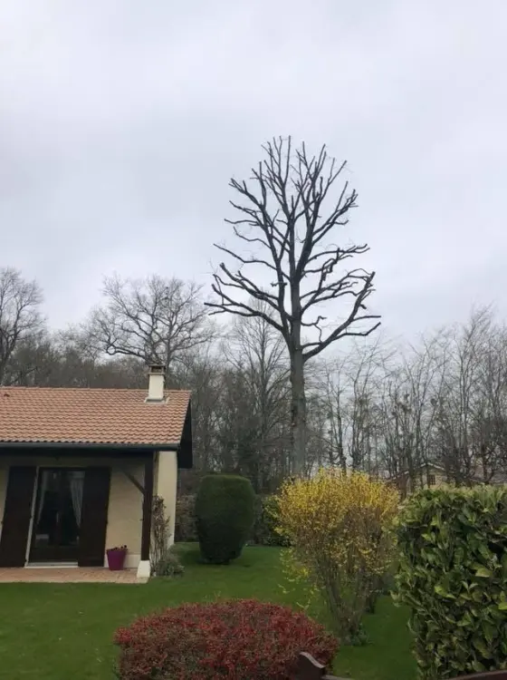 Aménagement extérieur terminé