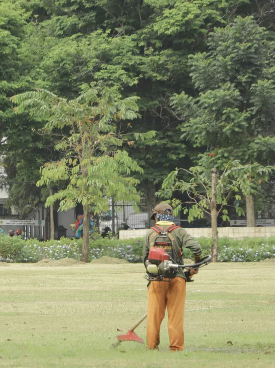 Terrain propre après intervention