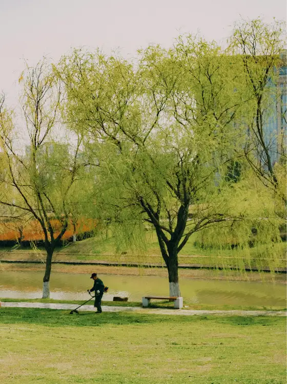 Nettoyage friche urbaine