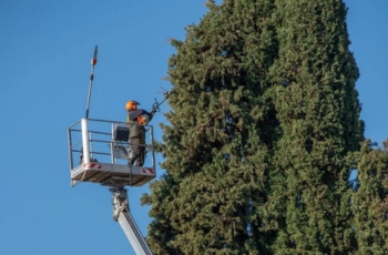 Techniques de grimpe