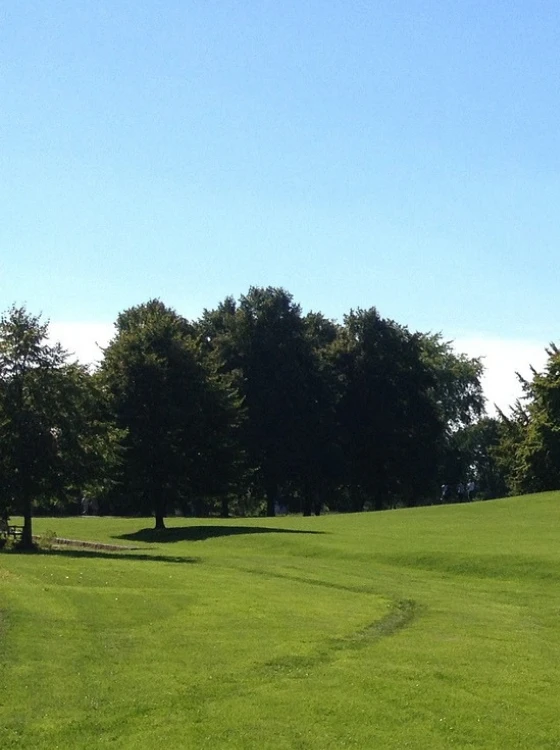 Préparation du sol pour pose de gazon de prestige