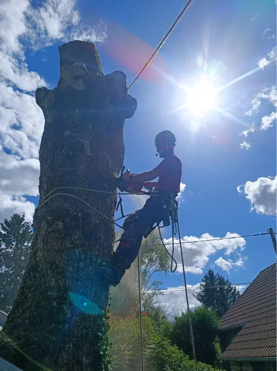 Jardinier élagueur passionné