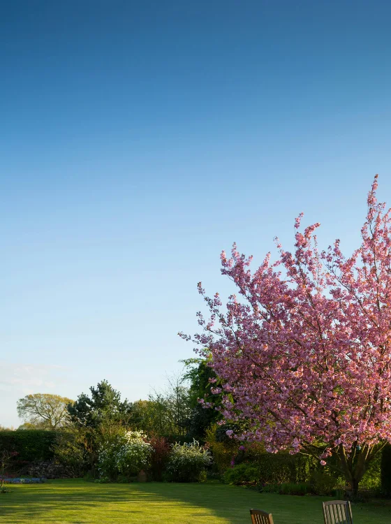 Jardin paysager aménagé