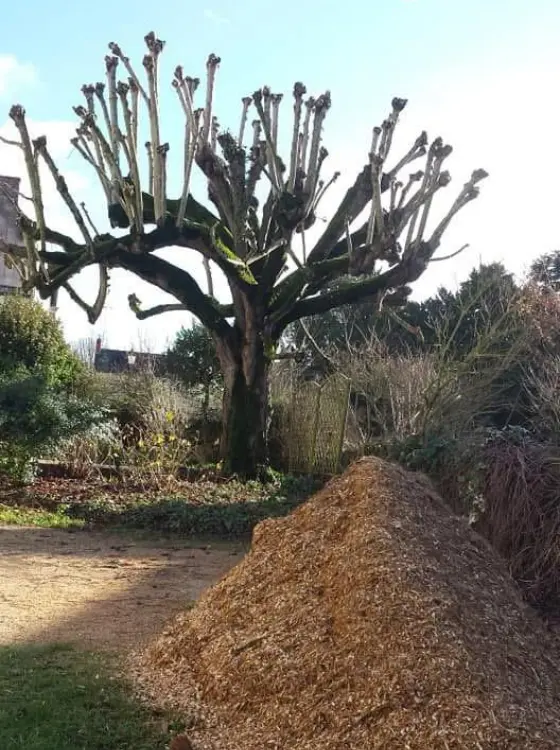 Jardin propre après passage des jardiniers