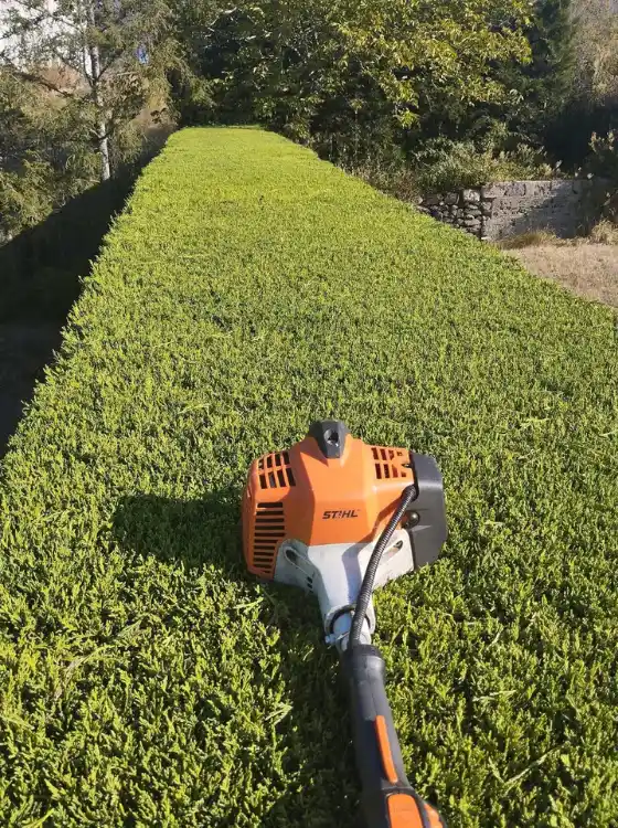Taille de haie rectiligne