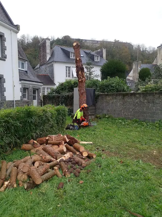 Copeaux de bois issus du broyage